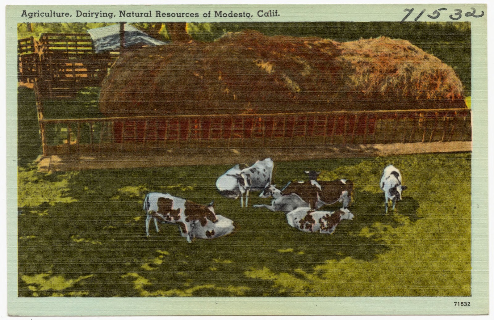 Agriculture, Dairying, Natural Resources of Modesto, Calif., Boston Public Library - undated