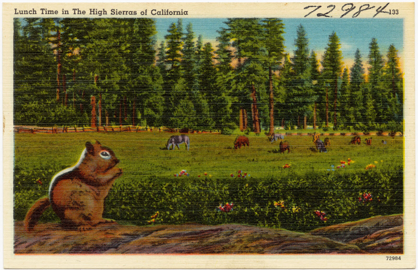 Lunch time in the high Sierras of California, Boston Public Library - undated