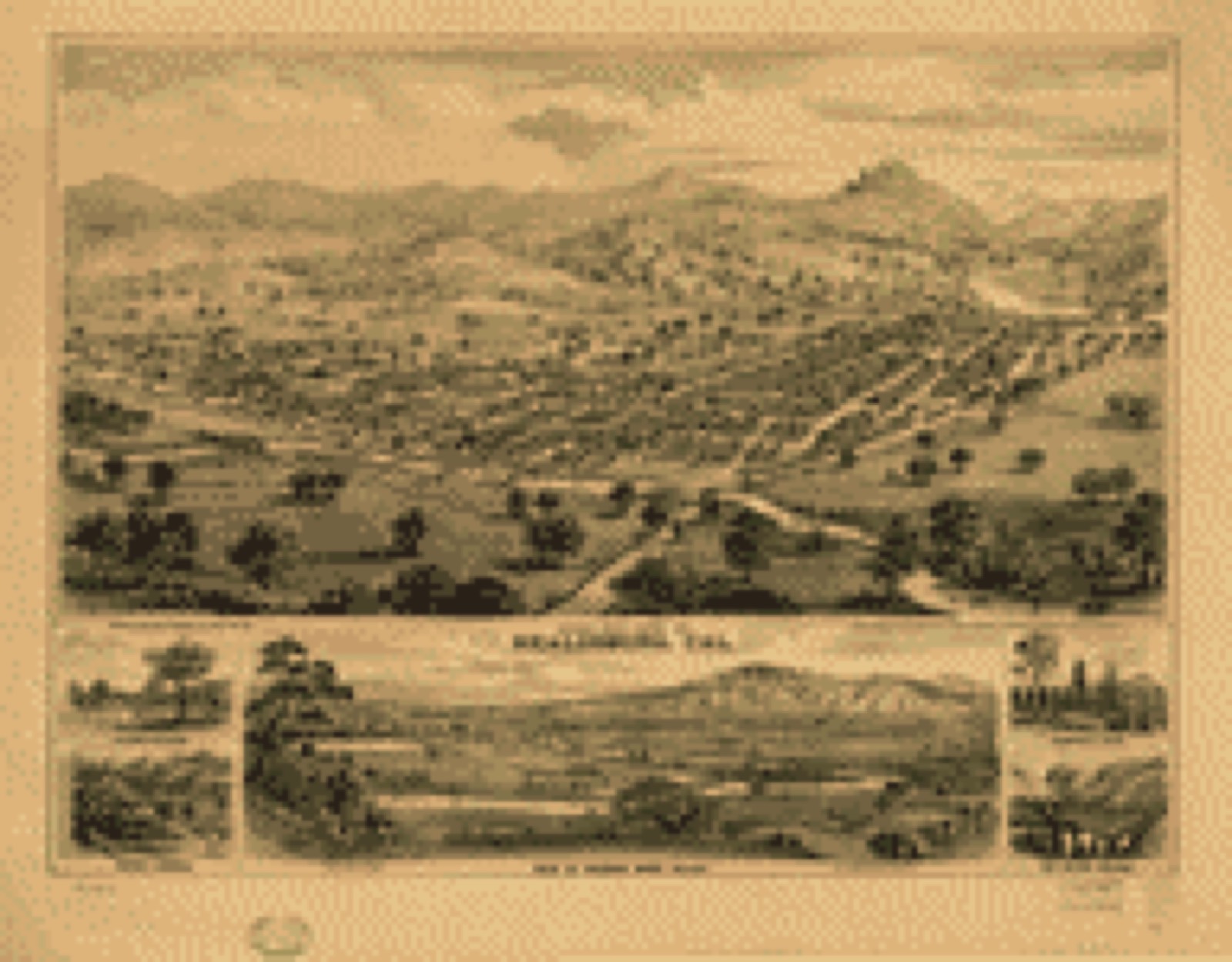 Bird's-eye view, 1876 - Bird's eye view of Healdsburg, Cal
