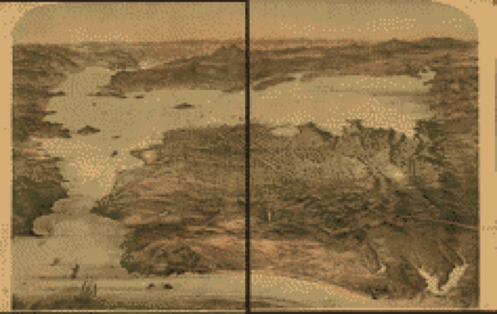 Bird's-eye view, 1868 - [Bird's eye view of San Francisco]