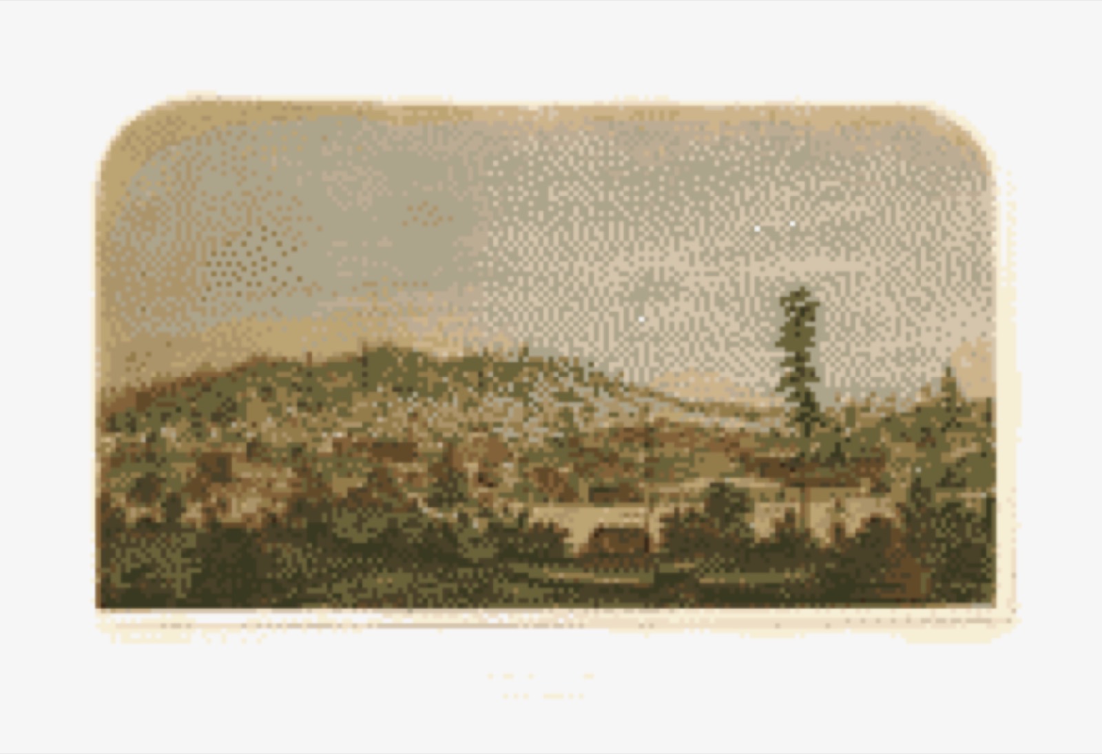 Bird's-eye view, 1856 - Shasta, Shasta County, Cal