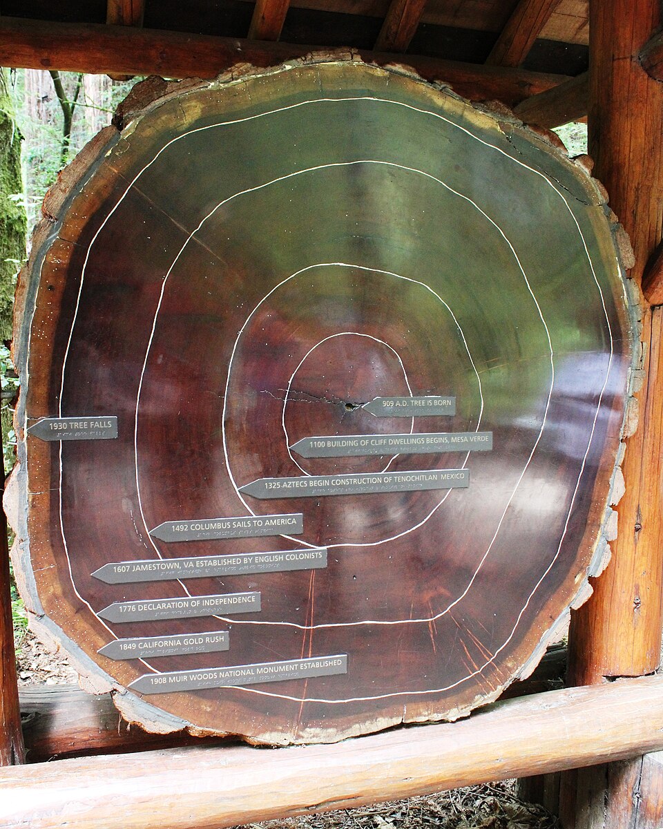 Photograph of Muir Woods National Monument Historic District