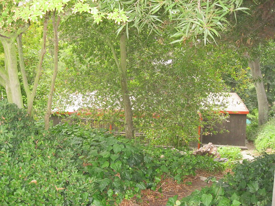 Photograph of John Norton House