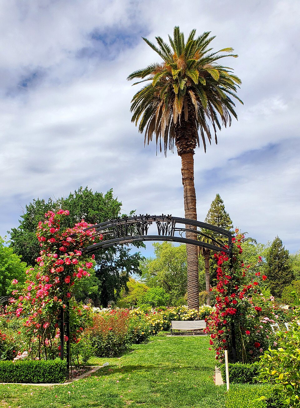 Photograph of McKinley Park