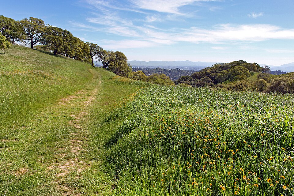 Photograph of John Muir National Historic Site