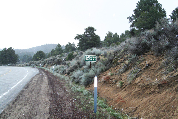 Photograph of Walker Pass