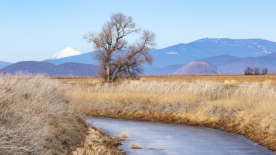 Photograph of Lower Klamath National Wildlife Refuge