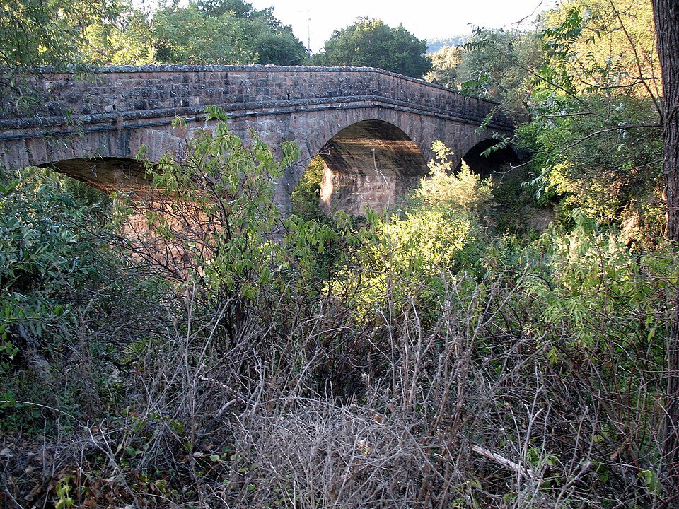Photograph of Pope Street Bridge