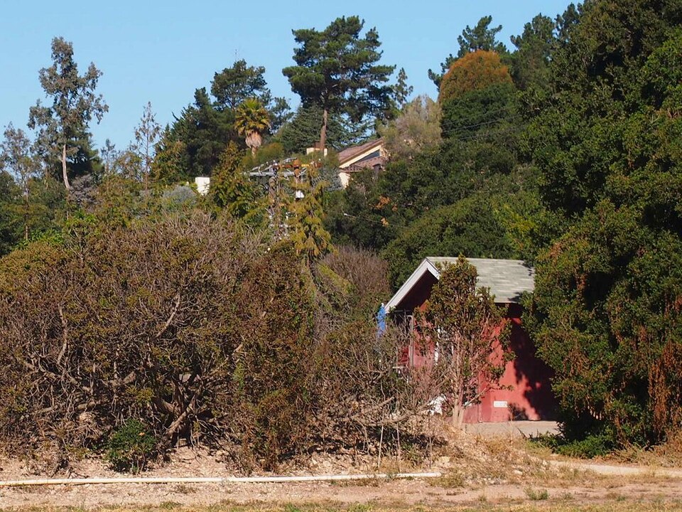 Photograph of Berwick Manor and Orchard