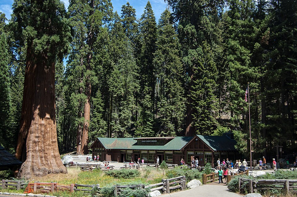 Photograph of Giant Forest Village-Camp Kaweah Historic District