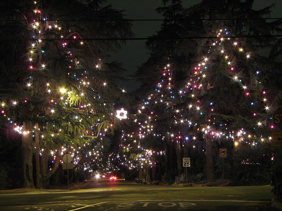 Photograph of Christmas Tree Lane