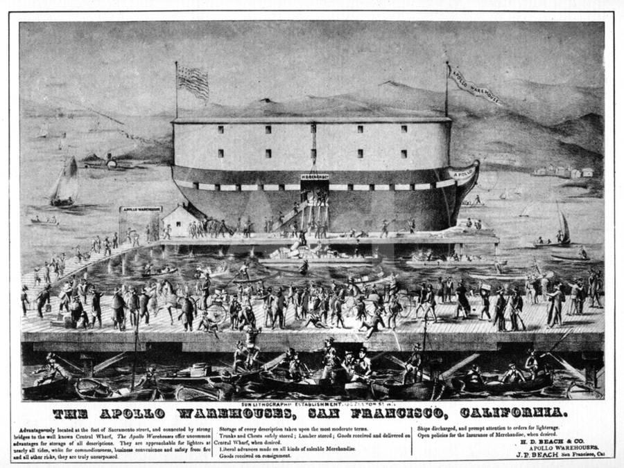 Photograph of Apollo