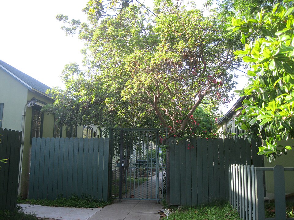 Photograph of Mentor Court