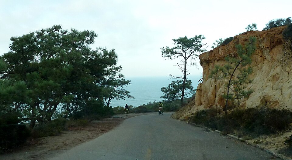 Photograph of Torrey Pines Park Road