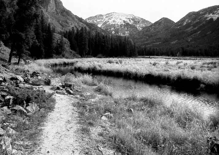 Photograph of East Inlet Trail