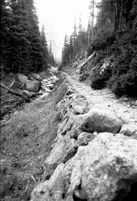 Photograph of Fern Lake Trail