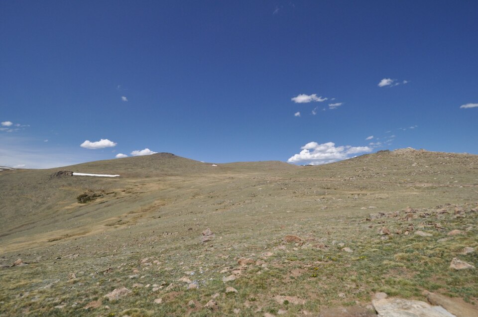 Photograph of Beatrice Willard Alpine Tundra Research Plots