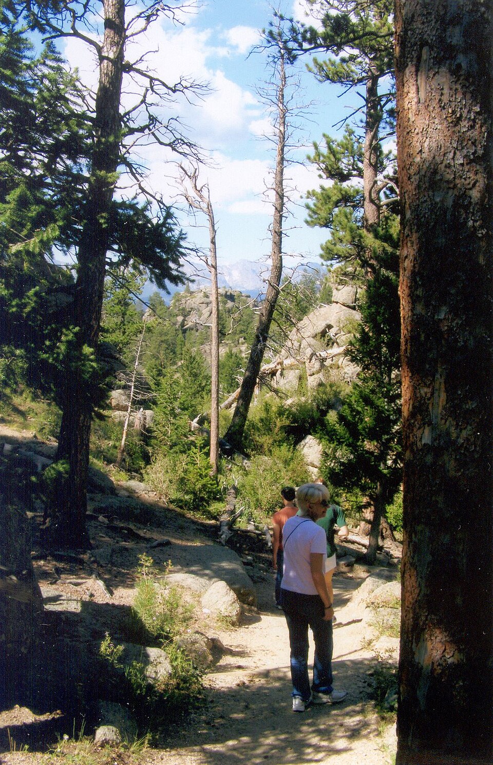 Photograph of Gem Lake Trail