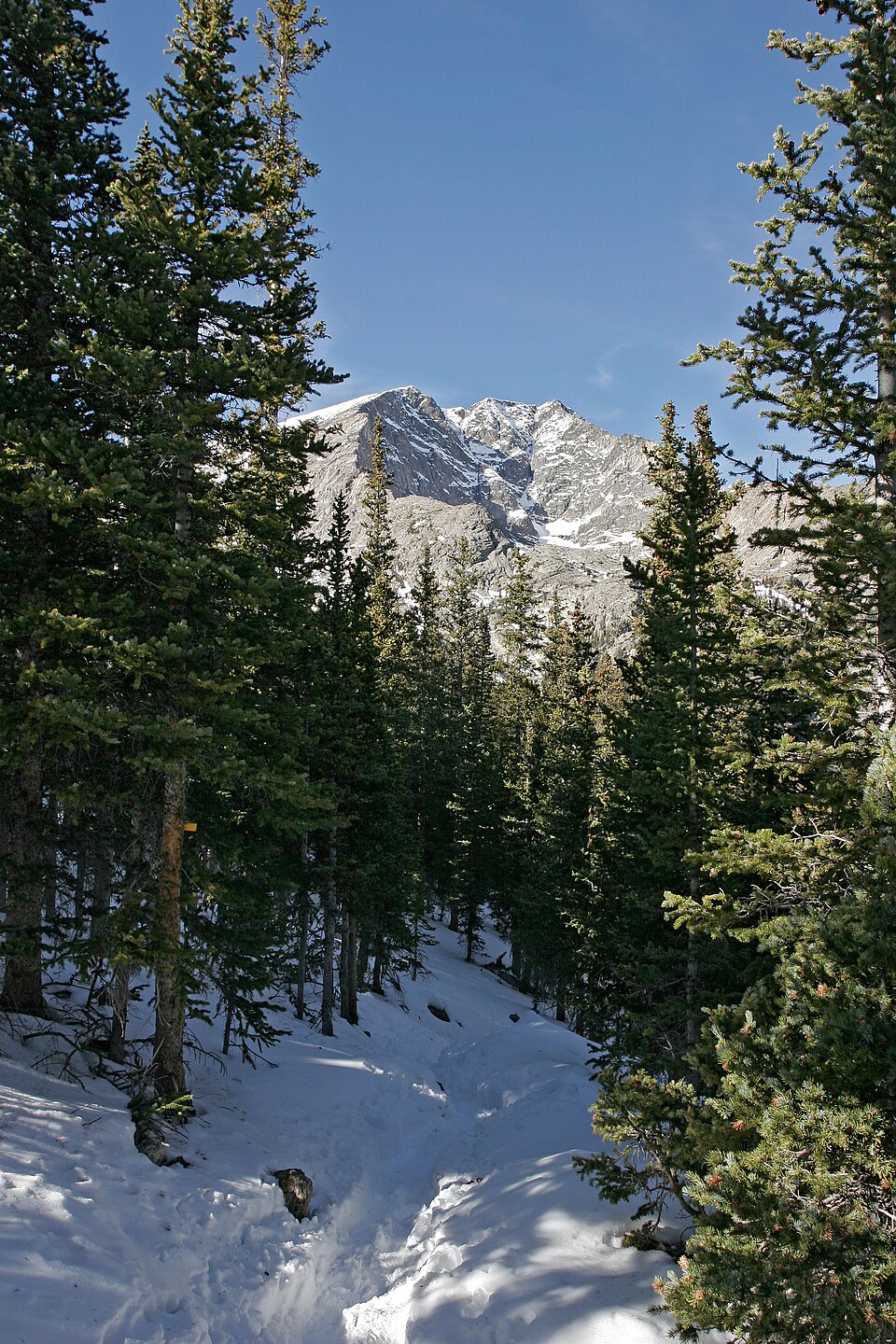 Photograph of Ypsilon Lake Trail