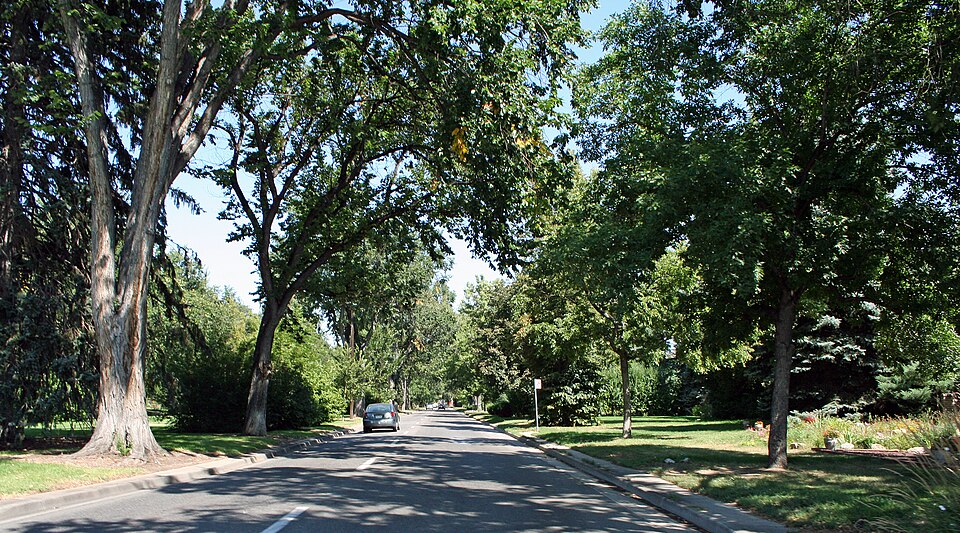 Photograph of Monaco Street Parkway