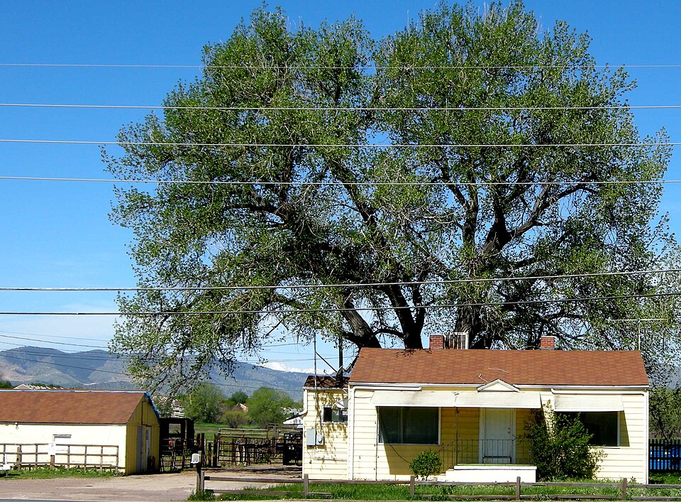 Photograph of Schnell Farm