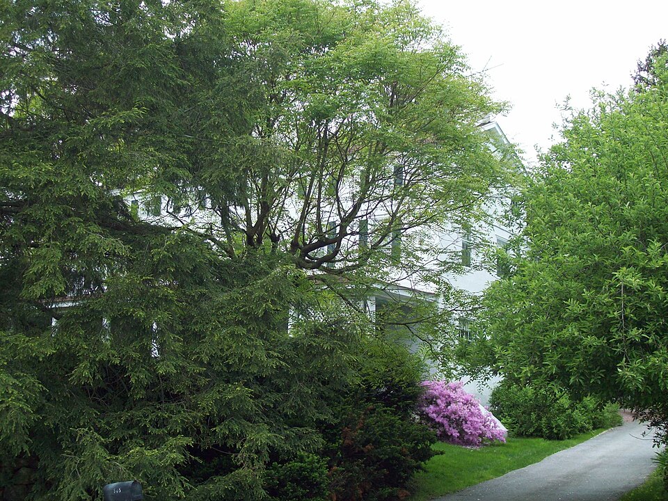 Photograph of Blue Hen Farm