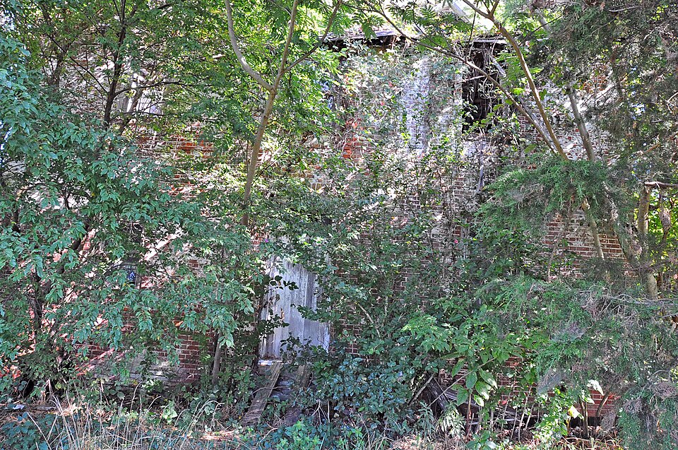 Photograph of N. C. Downs House