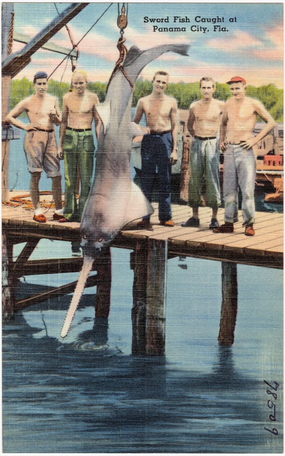 Sword fish caught at Panama City, Florida, Boston Public Library - undated