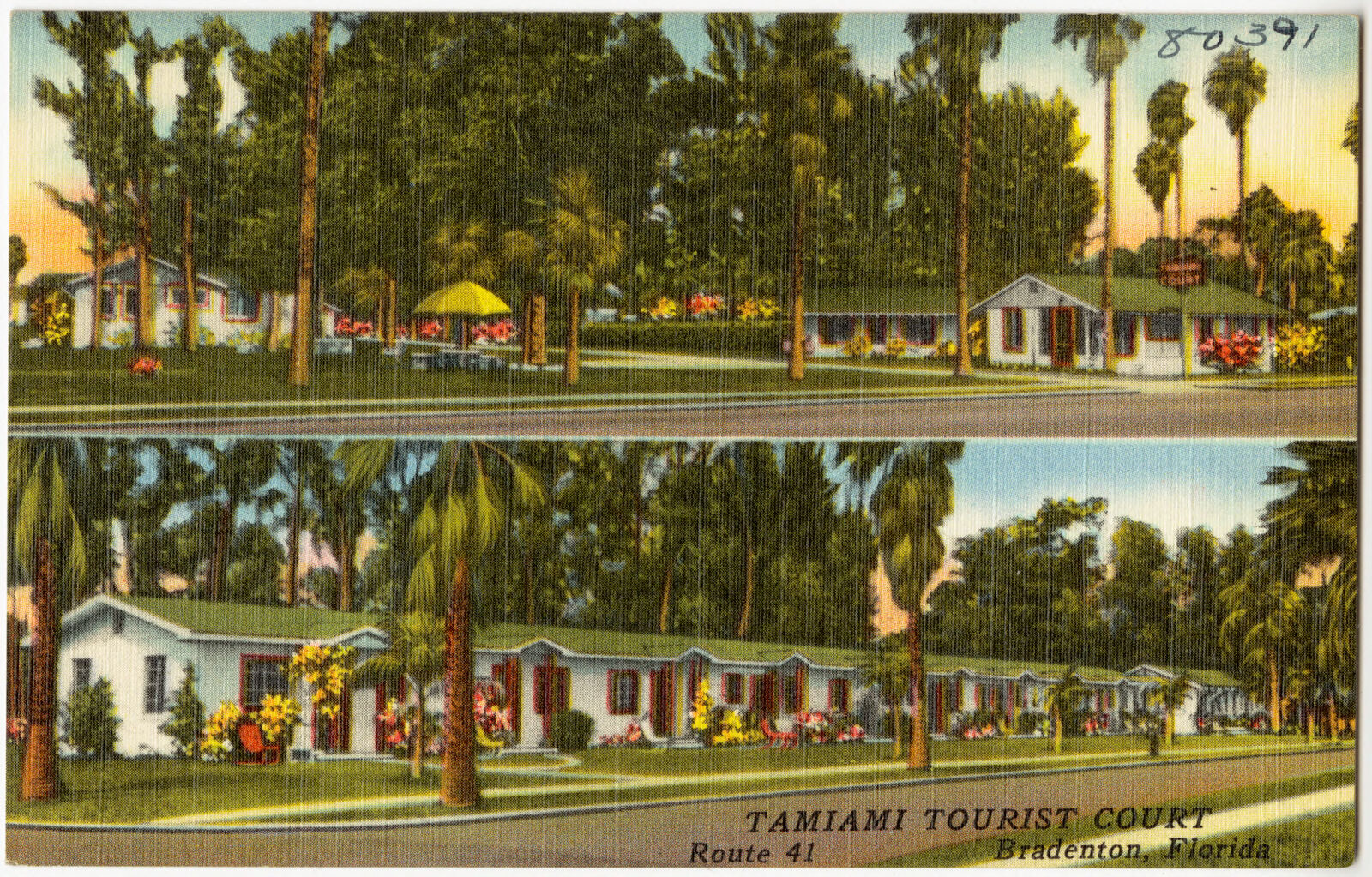 Tamiami Tourist Court, Route 41, Bradenton, Florida, Boston Public Library - undated