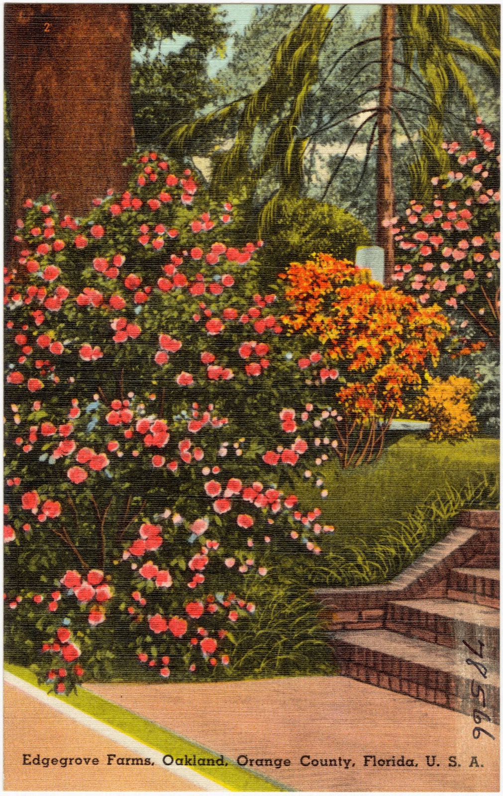 Edgegrove Farms, Oakland, Orange County, Florida, U.S.A., Boston Public Library - undated