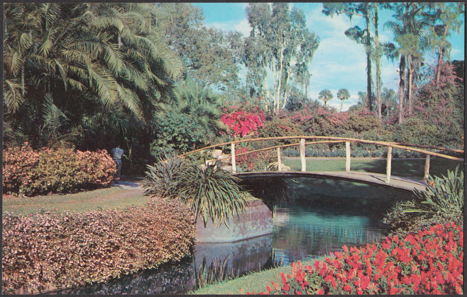 Natural fairyland of sunshine and flowers at beautiful Cypress Gardens, Boston Public Library - undated