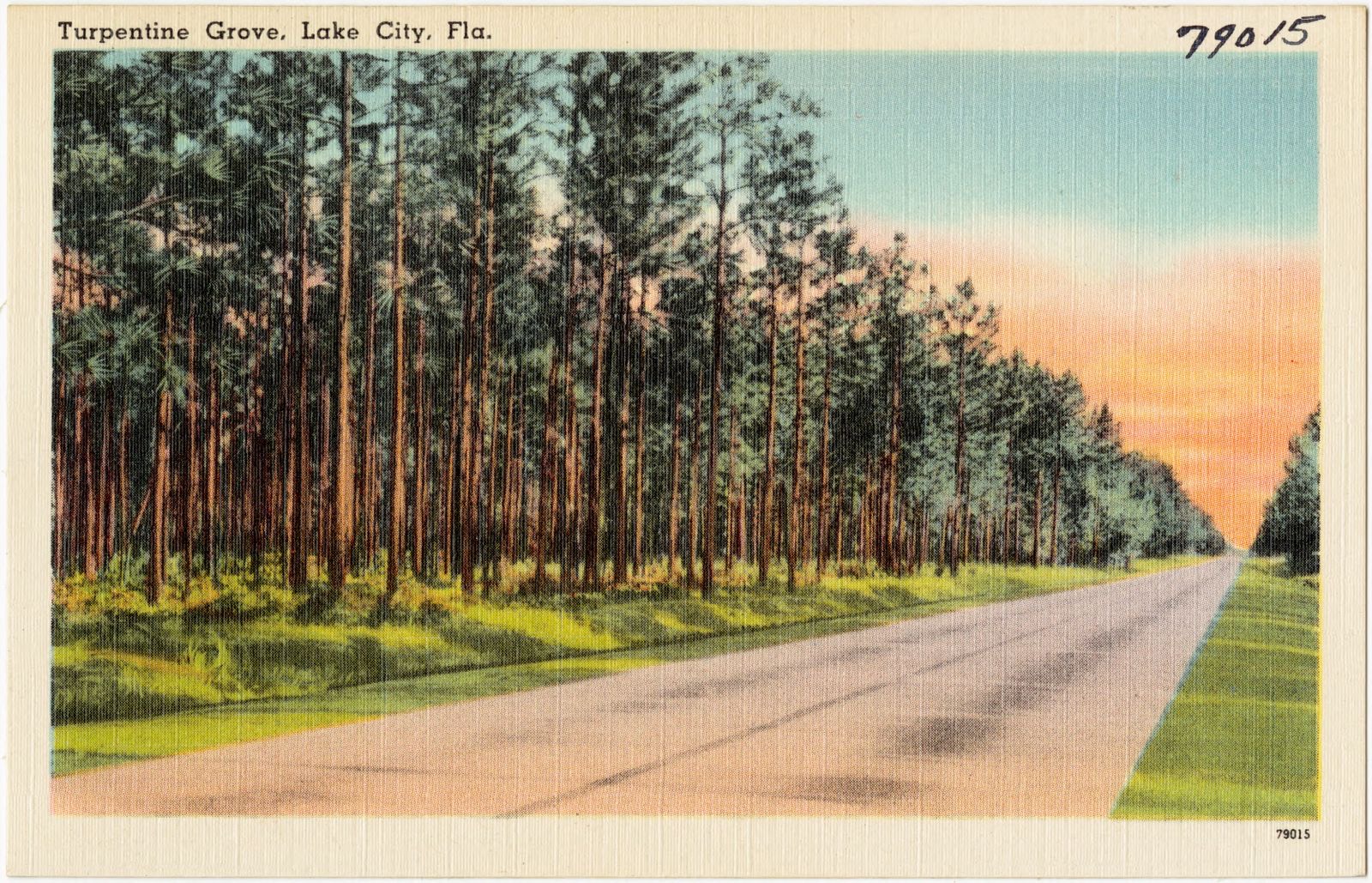 Turpentine Grove, Lake City, Fla., Boston Public Library - undated