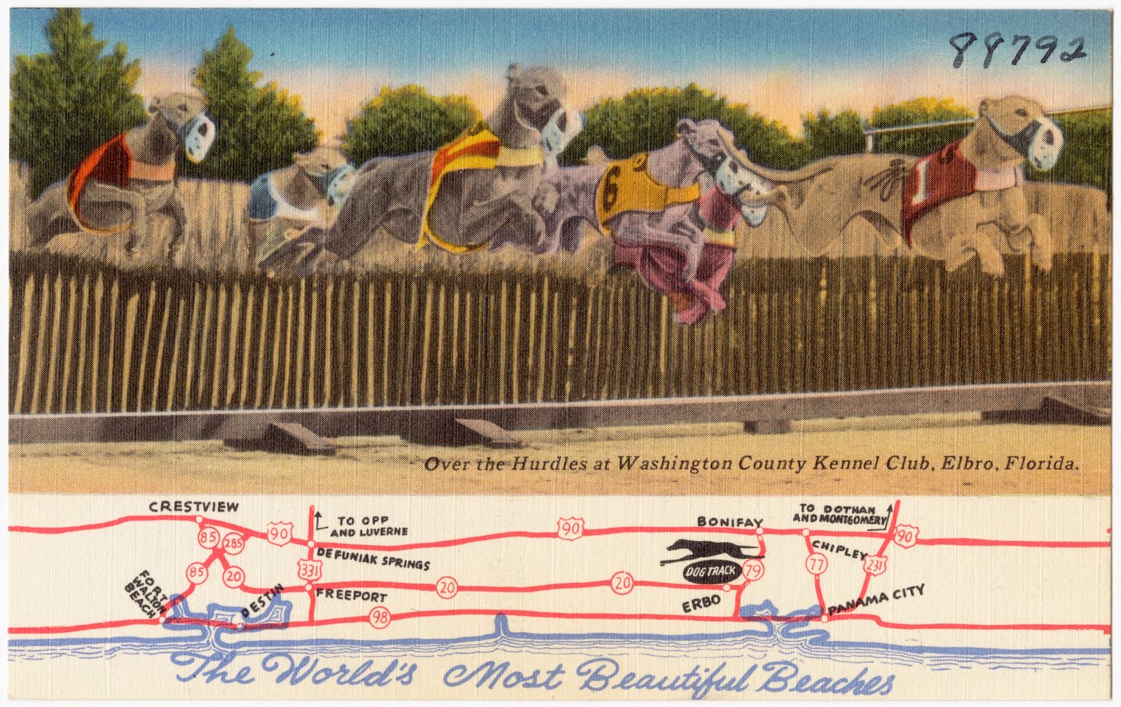 The world's most beautiful beaches. Over the hurdles at Washington County Kennel Club, Elbro, Florida, Boston Public Library - undated