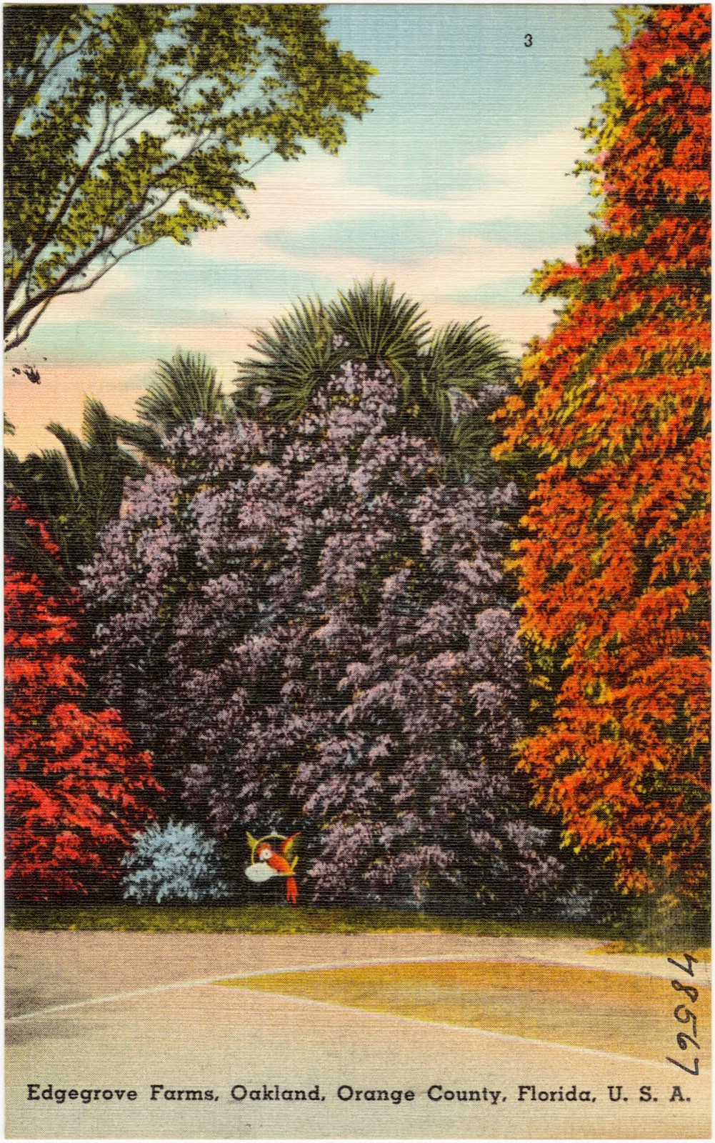 Edgegrove Farms, Oakland, Orange County, Florida, U.S.A., Boston Public Library - undated