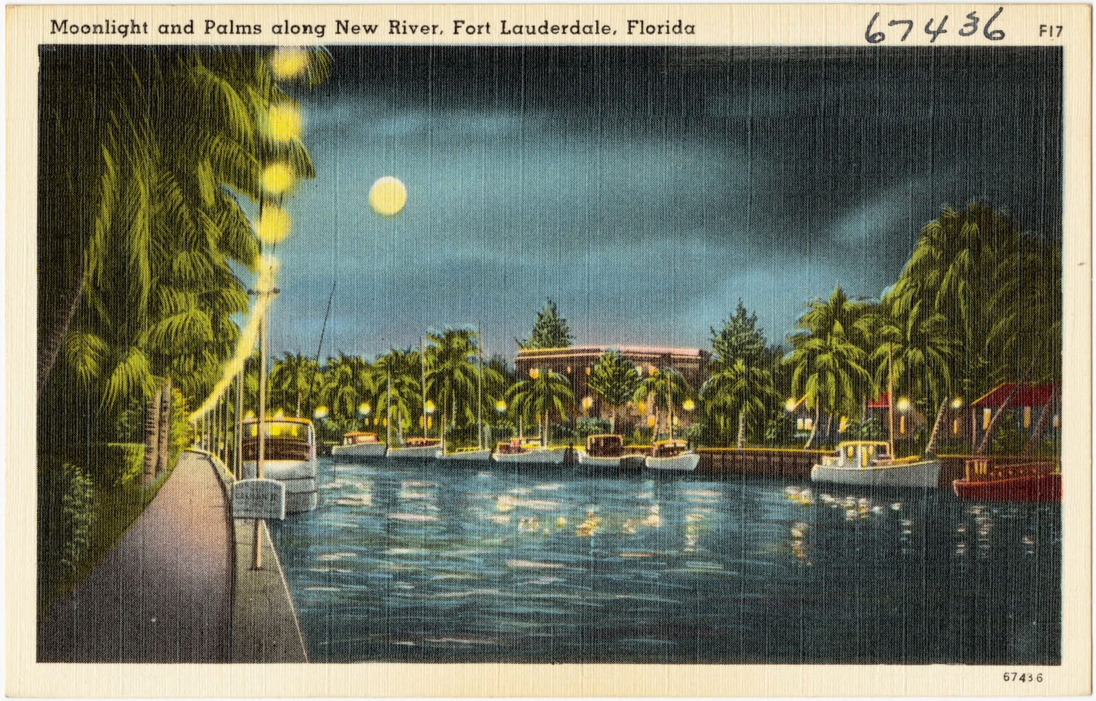 Moonlight and palms along New River, Fort Lauderdale, Florida, Boston Public Library - undated