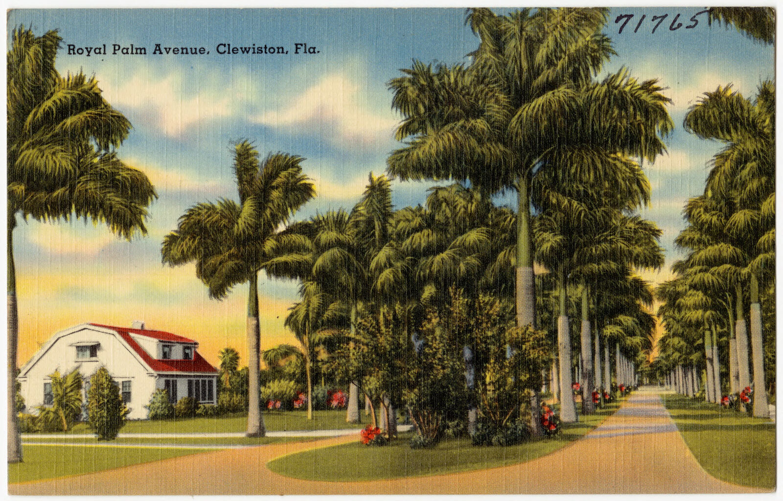 Royal Palm Avenue, Clewiston, Fla., Boston Public Library - undated