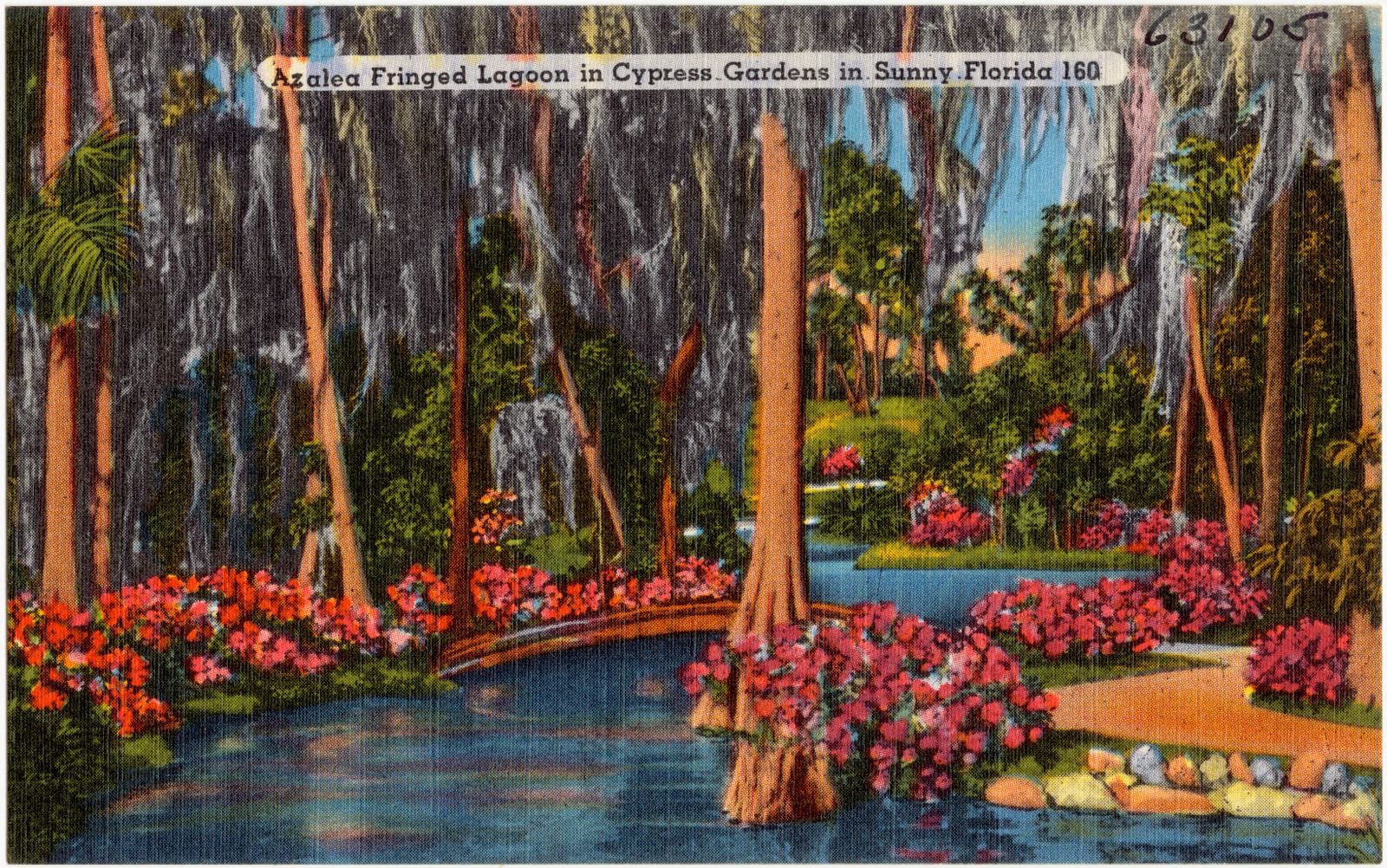 Azalea fringed lagoon in Cypress Gardens in sunny Florida, Boston Public Library - undated