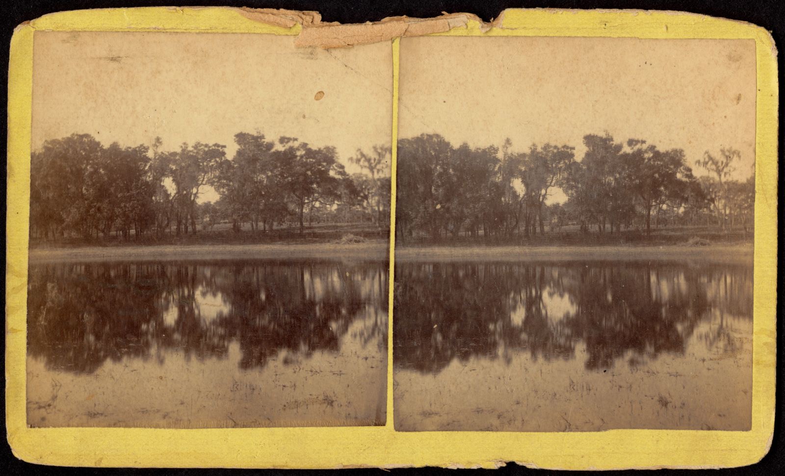 Captain Stone's Grove on Lake Consuelo, Boston Public Library - undated