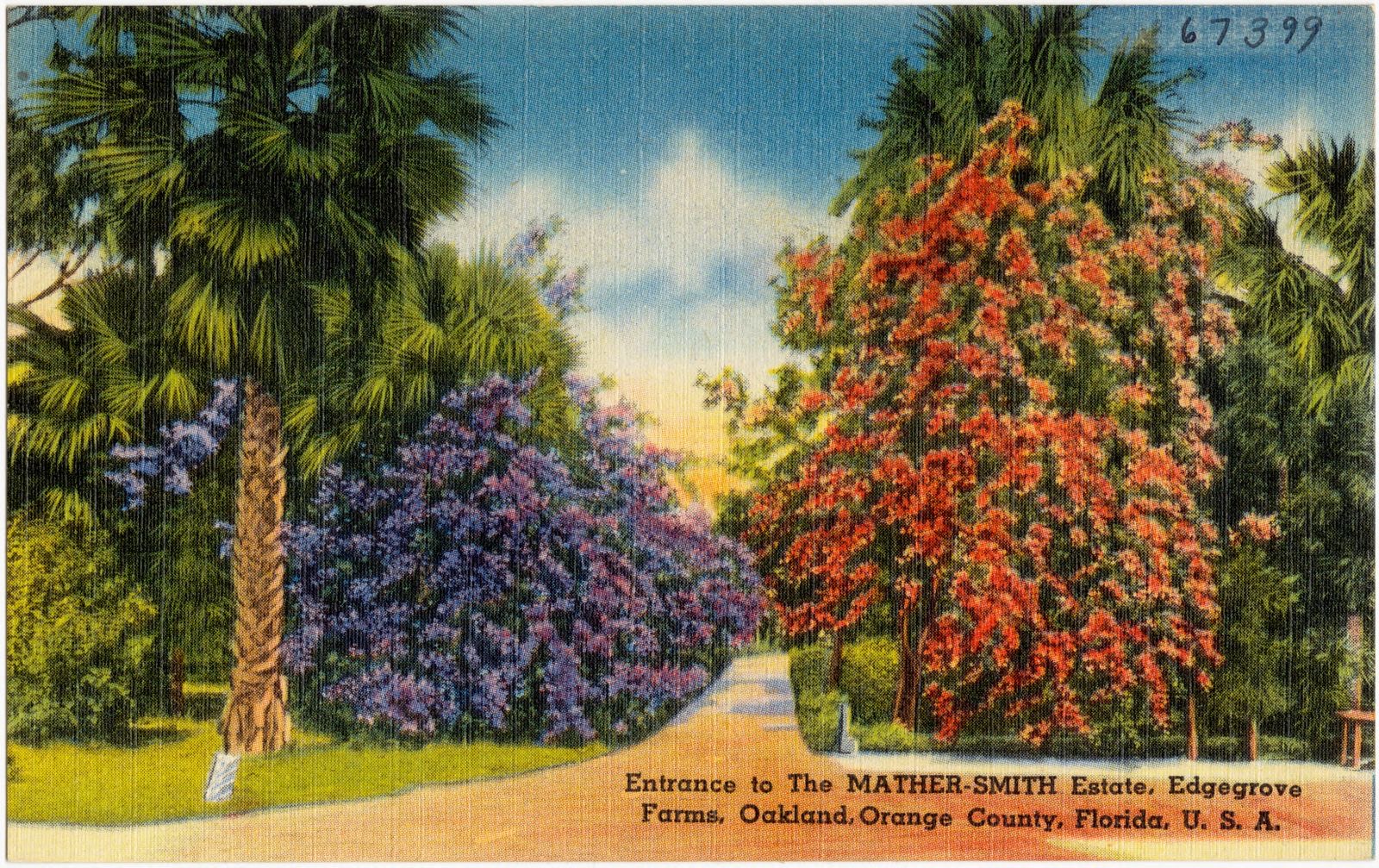 Entrance to the Mather-Smith Estate, Edgegrove Farms, Oakland, Orange County, Florida, U.S.A., Boston Public Library - undated