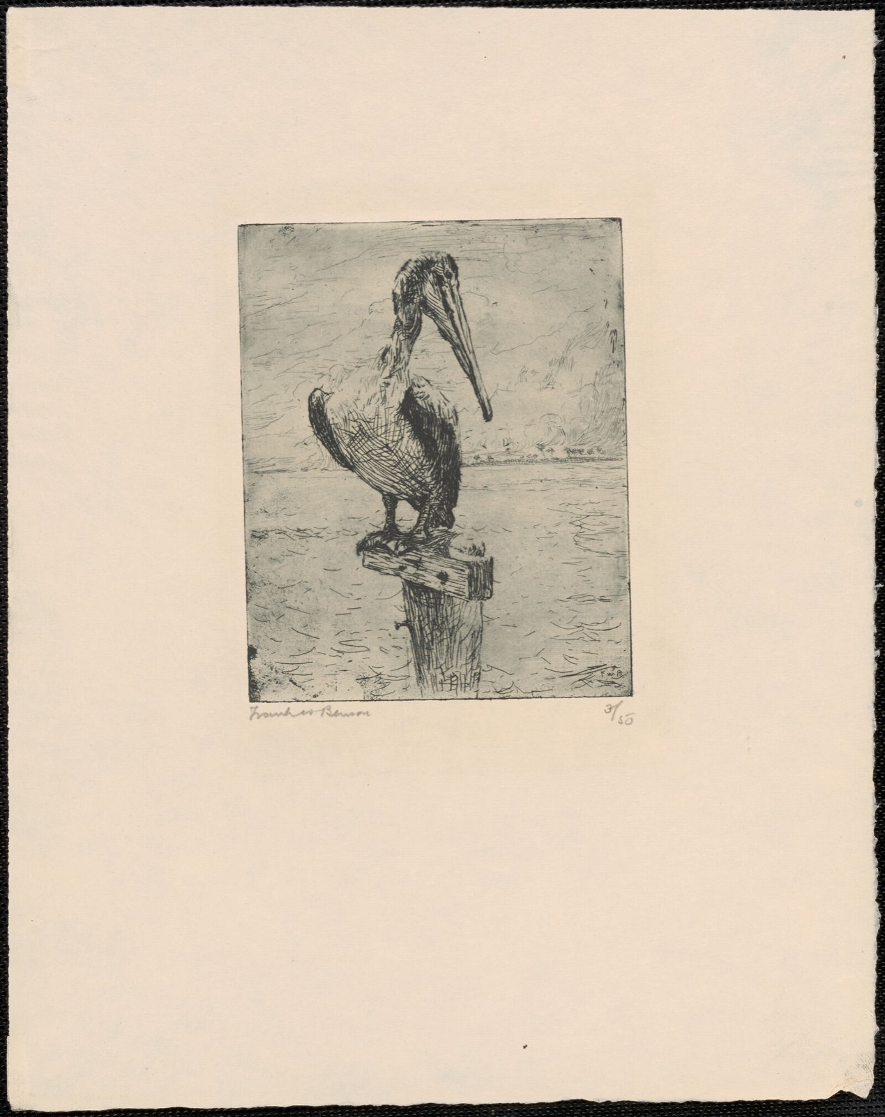 Perching pelican, Boston Public Library - undated
