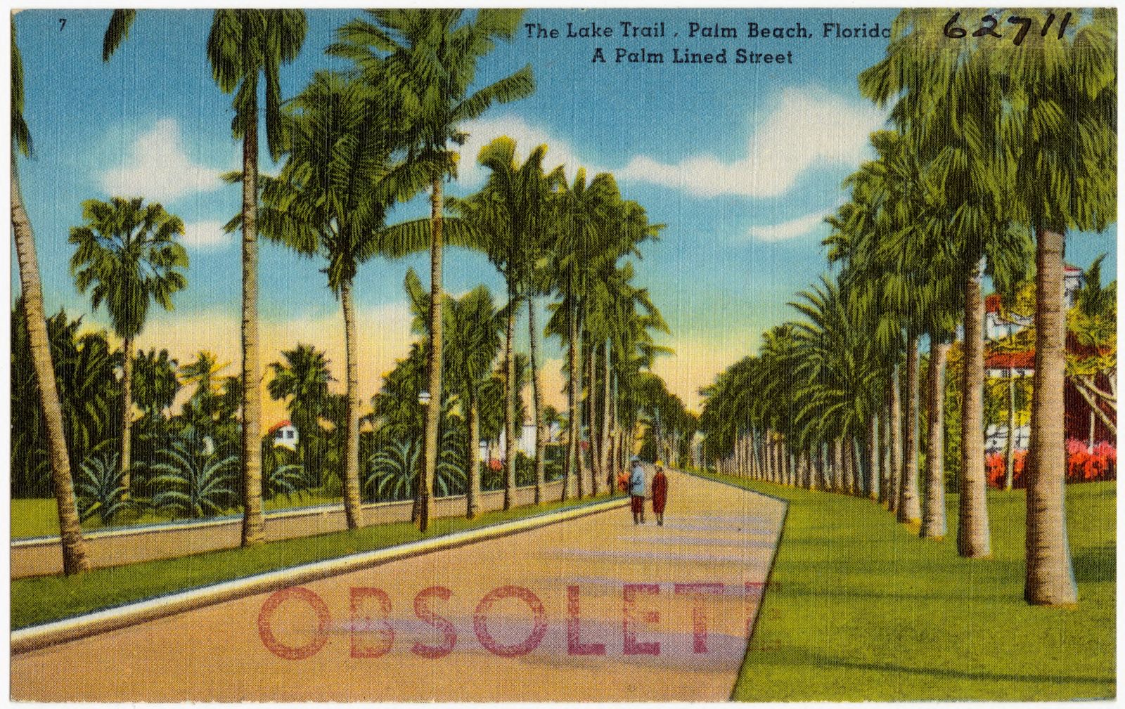 The lake trail, Palm Beach, Florida, a palm lined street, Boston Public Library - undated