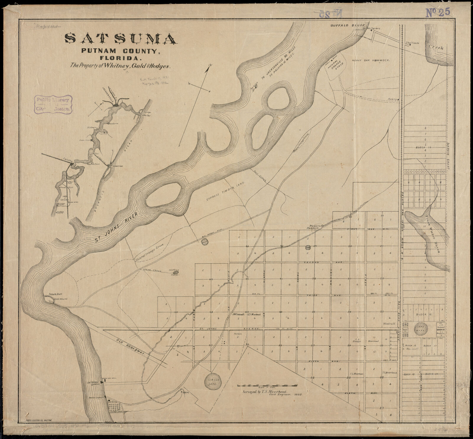 Satsuma, Putnam County, Florida the property of Whitney, Gold and Hodges, Boston Public Library - undated