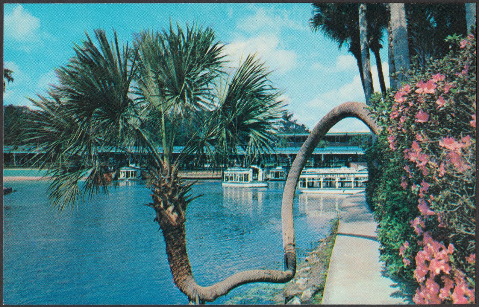 Florida's Silver Springs, Boston Public Library - undated