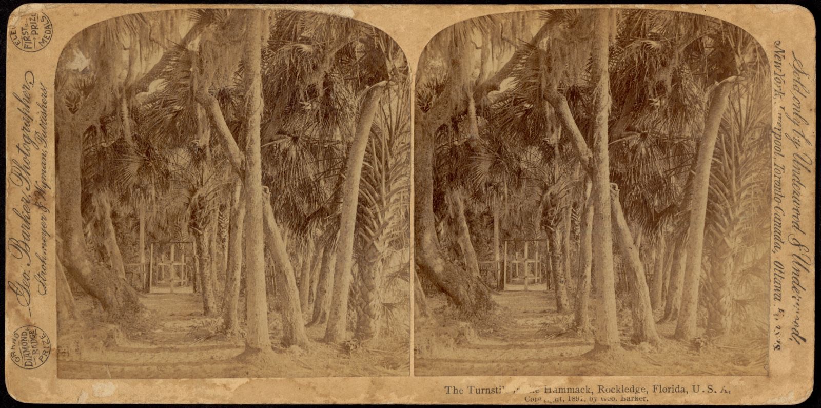The turnstile in the hammack, Rockledge, Florida, U.S.A., Boston Public Library - undated