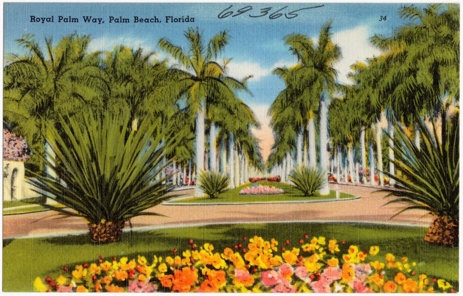 Royal Palm Way, Palm Beach, Florida, Boston Public Library - undated
