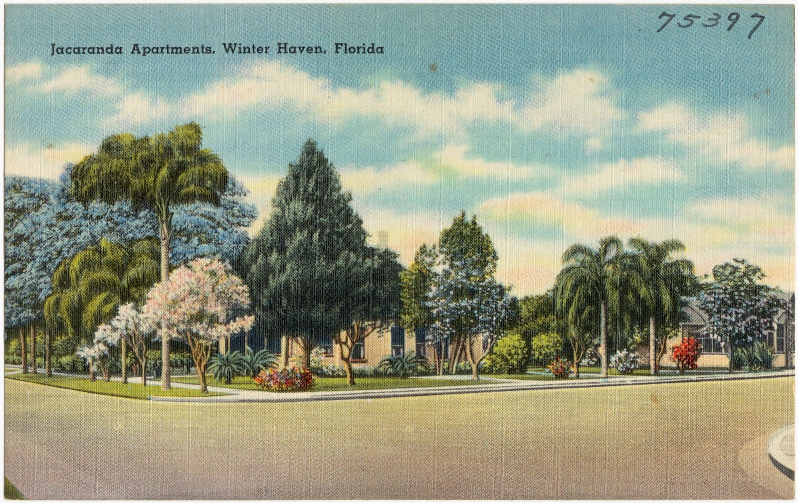 Jacaranda Apartments, Winter Haven, Florida, Boston Public Library - undated