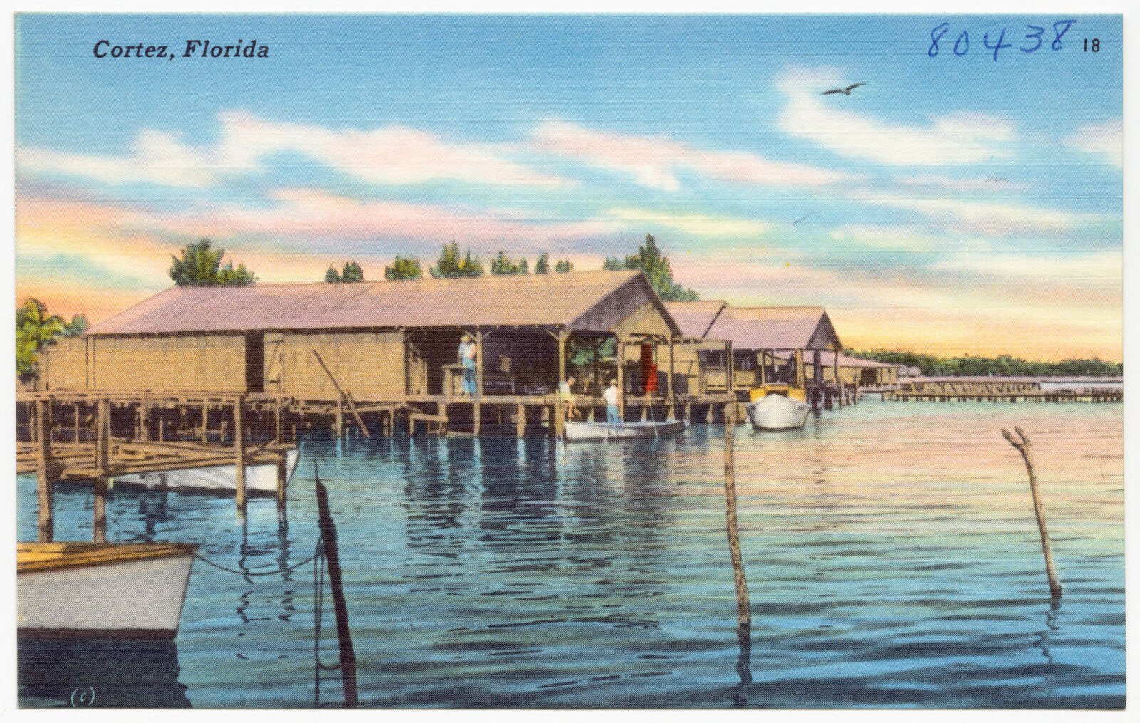 View of fishing village, Cortez, Florida, Boston Public Library - undated