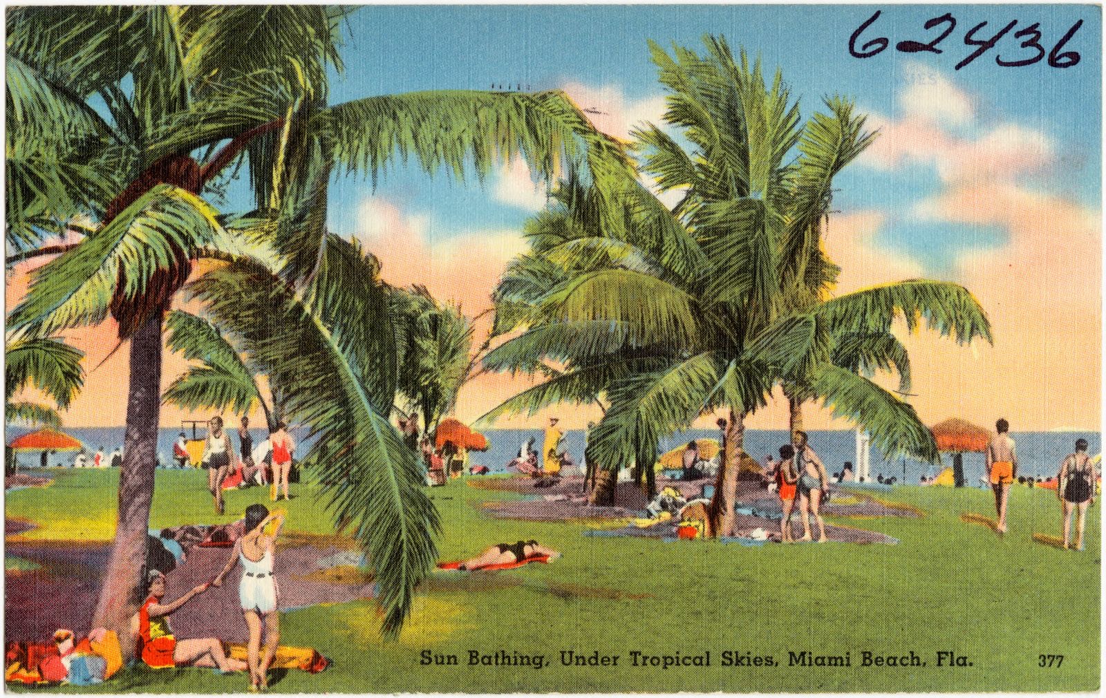 Sun bathing, under tropical skies, Miami Beach, Florida, Boston Public Library - undated