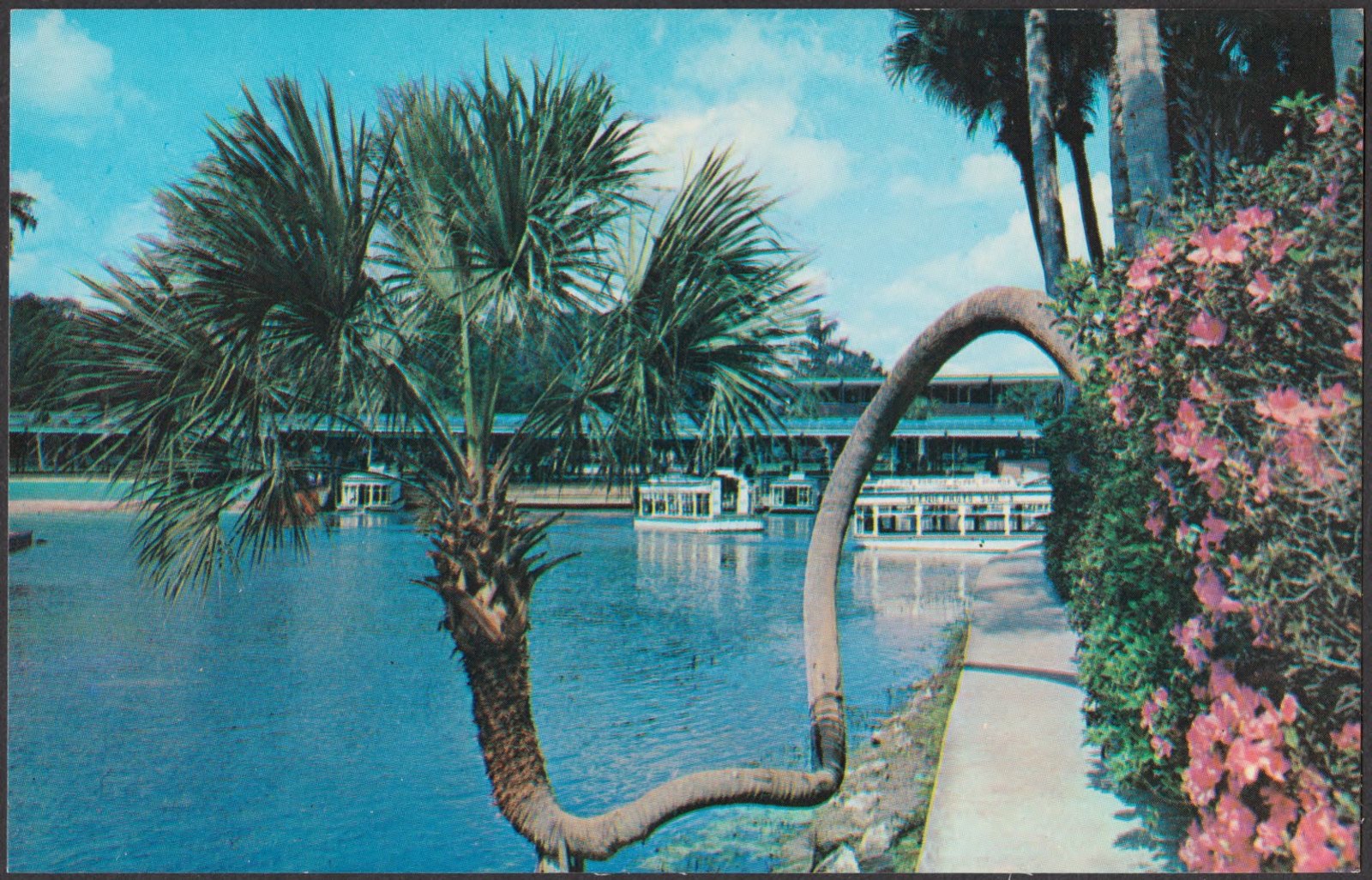Florida's Silver Springs, Boston Public Library - undated