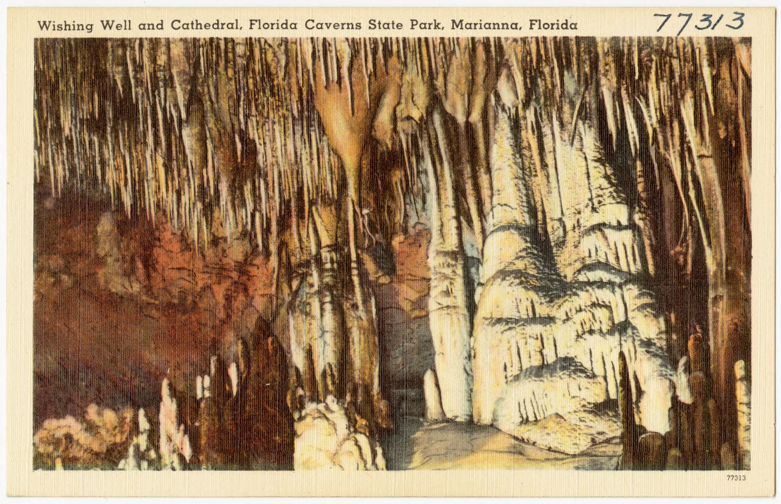 Wishing well and cathedral, Florida Caverns State Park, Marianna, Florida, Boston Public Library - undated